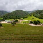 Photo 37 for Boekenoogen Santa Lucia Highlands Vineyard