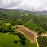 Photo 80 for Boekenoogen Santa Lucia Highlands Vineyard