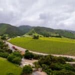 Photo 10 for Boekenoogen Santa Lucia Highlands Vineyard