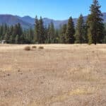 Photo 2 for Mountain View Meadow